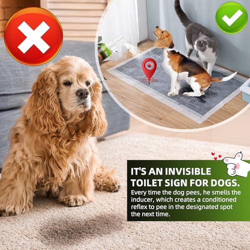 Dog Potty Training Spray for Dogs and Puppies - Go Here Attractant Spray to Pee and Poop in One Spot,Safe & Effective Puppy Pee Spray Indoor & Outdoor-Dog Training & Housebreaking Aid -100ml - Image 6