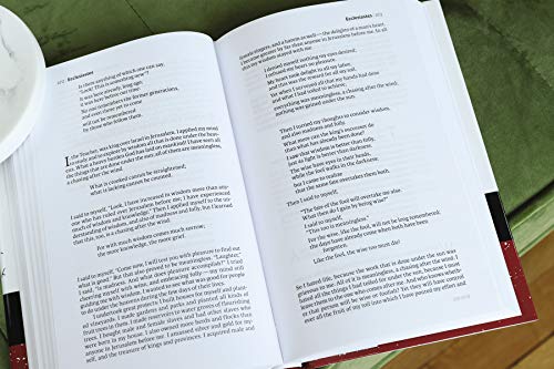 NIV, the Books of the Bible: The Writings, Hardcover: Find Wisdom in Stories, Poetry, and Songs: 3