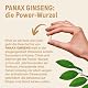Ginseng Kapseln BrainEffect Panax Ginseng 490mg 120 Stück