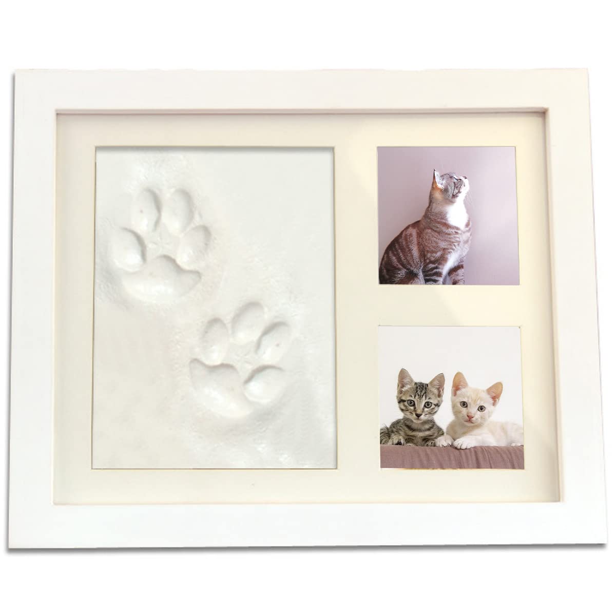 Amazon.co.jp: Active coco 猫 足形キット 犬 にくきゅう 手形 粘土 肉