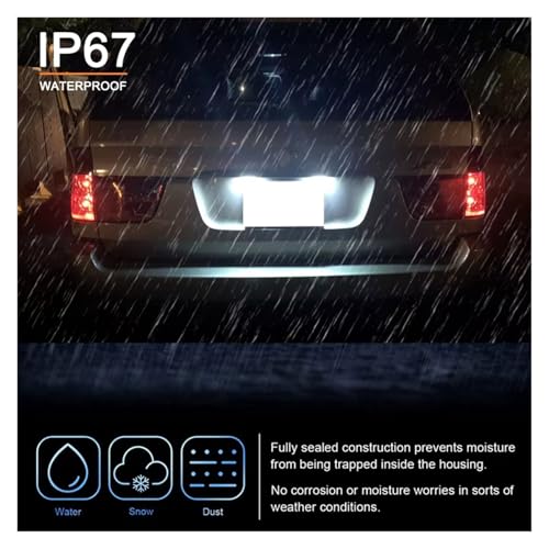 Plafón luz matrícula impermeable con acabado premium para renovación E53 E83 7