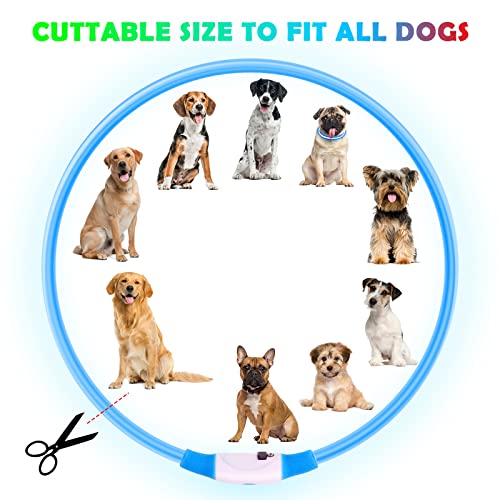 AUAUY LED Leuchthalsband Hund, USB Aufladbar Längenverstellbarer Haustier Sicherheit Kragen Zuschneidbares Wasserdicht Leuchthalsband für Hunde und Katzen, 3 Modus (Blau)