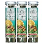 Scentsicles O Christmas Tree Scented Ornaments with Hooks - 3 Bottles (18 Sticks Total)