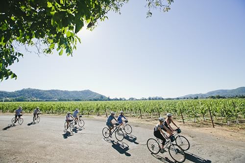 Group of adults cycling along a sunny rural road beside green vineyard rows and distant hills.