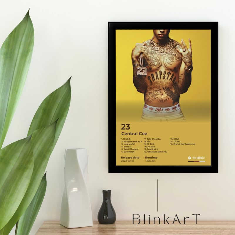 Image of BLINKART Central CEE- 23 Wall Photo Frames | Wall Art for Bedroom, Living Room, Studio or Office | Album Cover Print with Spotify Song Link QR Code | Gift for Fans - 8x12 In