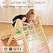 ZippyZebra Pikler Triangle Climbing Set with Cushion, 7 in 1 Foldable Wooden Climbing Toys for Toddlers 1-3, Montessori Indoor Playground Toddler Jungle Gym with Ramp & Arch, Rainbow