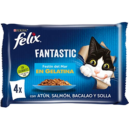Purina Felix Fantastic Festín Gelatina comida Cover