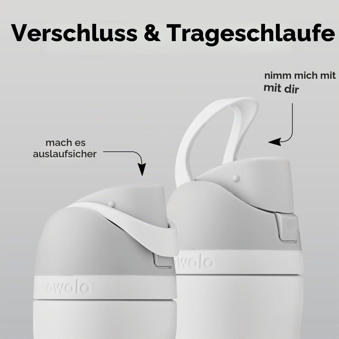 Owala FreeSip Isolierte Edelstahl-Wasserflasche mit Strohhalm für Sport und Reisen, BPA-frei, 680 ml, Grau/Grün (Neo Sage)