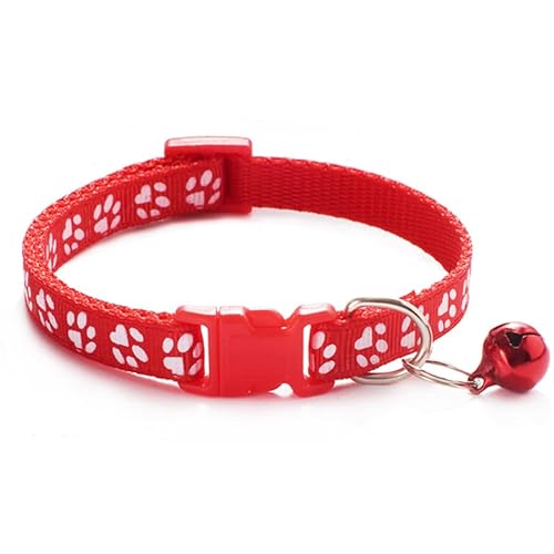 Seven Fox L lR   t  19F JCC qL 킢  (bh)