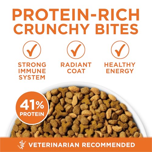 Purina ONE High Protein, Healthy Plus Ideal With Chicken Dry Cat Food Control Formula - 7 lb. Bag