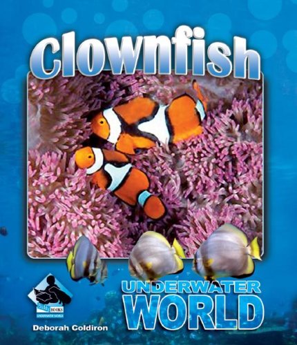 Deborah ColdironClownfish (Underwater World)