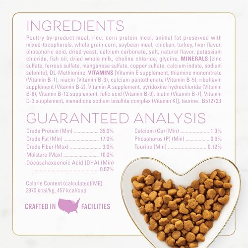 Image of Purina Fancy Feast Kitten With Savory Chicken and Turkey Kitten Dry Food - 7 lb. Bag