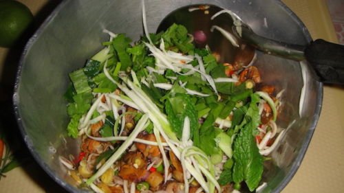1,000 Seeds Recao,Culantro seeds,Cilantro ancho,Parsley seeds (Eryngium foetidum)