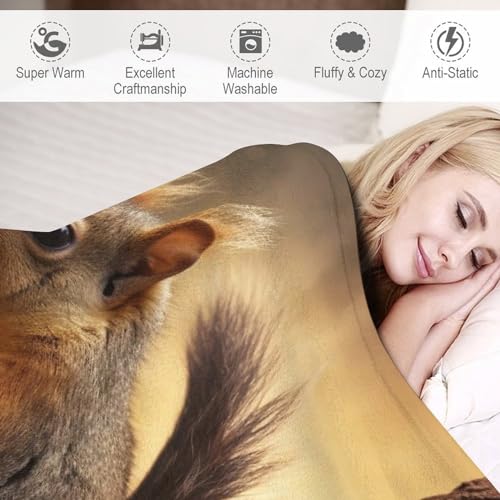Couverture écureuil flannel 3D idée cadeau originale et douce