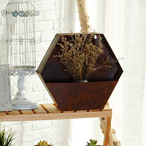 Topadorn Hanging Planter Flower Pot Metal Container Wall Pocket Garden Bucket For Indoor Or Outdoor Balcony Patio, Octagon 12" H #TOP5