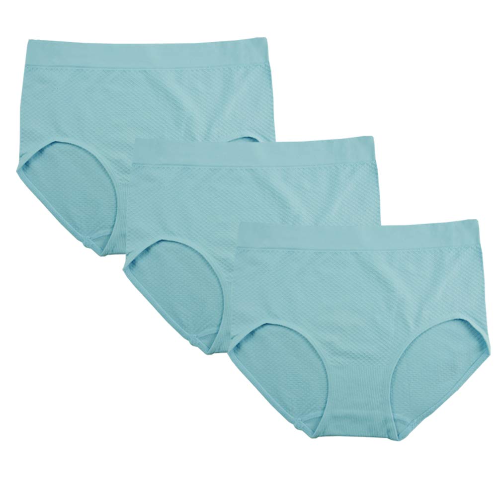 FEM intimatesWomen's Underwear Seamless Full Briefs Panties - 3 Pack