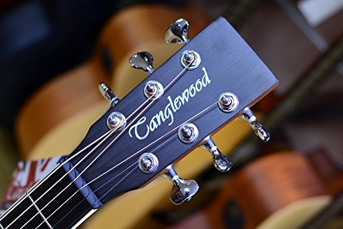 Tanglewood TSP45 Sundance Super Folk Electro-Acoustic Guitar - Les Beatles, Paul McCartney, John Lennon, RIngo Starr, George Harrison Tanglewood TSP45 Sundance Super Folk Electro-Acoustic Guitar – Image 5