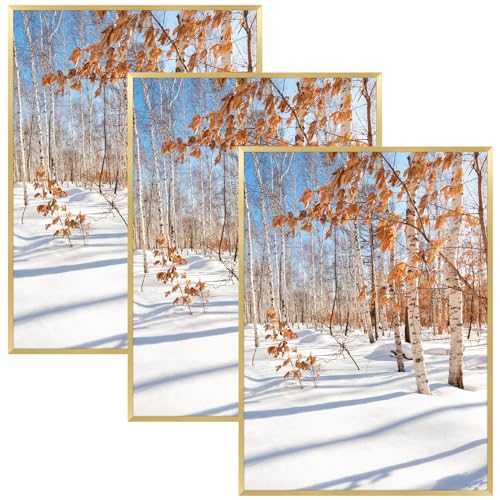 Golden State Art, A2 Aluminum Picture Frame, Gold Metal Thin