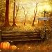 Produktbild MMPTn 5x5ft Herbst Park Landschaft Hintergrund Herbst Gartenbank Kürbis Im Freien Getrocknetes Gras Wald Baum Thanksgiving Halloween Urlaub Party Dekoration Fotostudio Requisiten Vinyl Banner