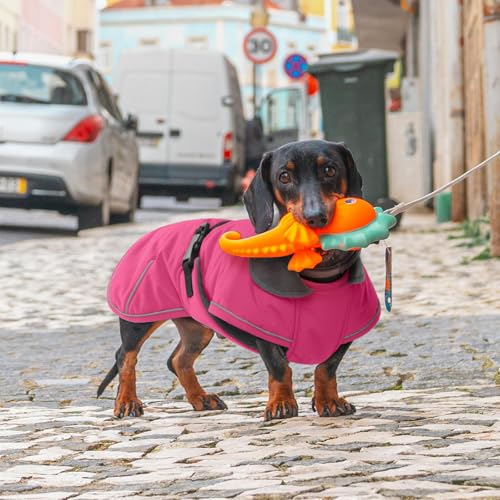 Hjyokuso Hundemantel Dackel M, Winddichter Wasserdichter Wintermantel Für Dackel Hunde, Hundejacke Für Große Hunde, Hundemantel Winter Mit Bauchschutz Und Leinenloch, Winterjacken Für Hunde - Rosa