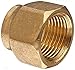 ICS Industries - 1/2 OD Brass Forged Flare Nuts (10 Pack)