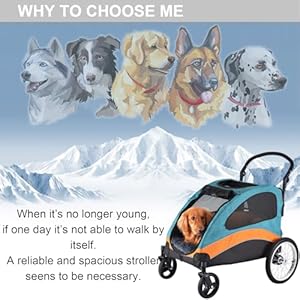   Dog-Stroller-for-Large-Dogs-Pet-Dog-Jogger-Wagon-Foldable-CartPet-Stroller-with-Adjustable-Handle-Dog-Stroller-for-Medium-and-2-Dogs-Coche-para-Perro-with-Multi-Breathable-MeshUp-to-120-lbs