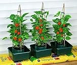 Garden Mile 3pc Tomato Plant pots Plant Supports Greenhouses Garden Pots Growbag Plastic for Tomatoes, Strawberries, Herbs Grow Bag for Vegetables Beds Greenhouse