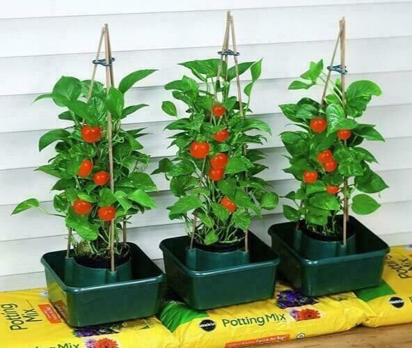 Bolsa de cultivo para vegetales y tomates en camas de jardín o invernaderos domésticos