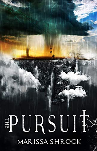 The Pursuit view 2