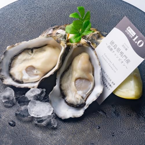 Hp ^y sYwQ`sIx12+yiCtZbg (REt) 擾 Cm[wŏ򉻂ꂽSESȐyEktE①