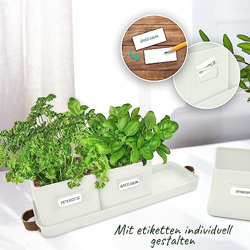 Magic Garden Seeds Kräuter-Set - 9 Aromatische Küchenkräuter Für Balkon & Fensterbank