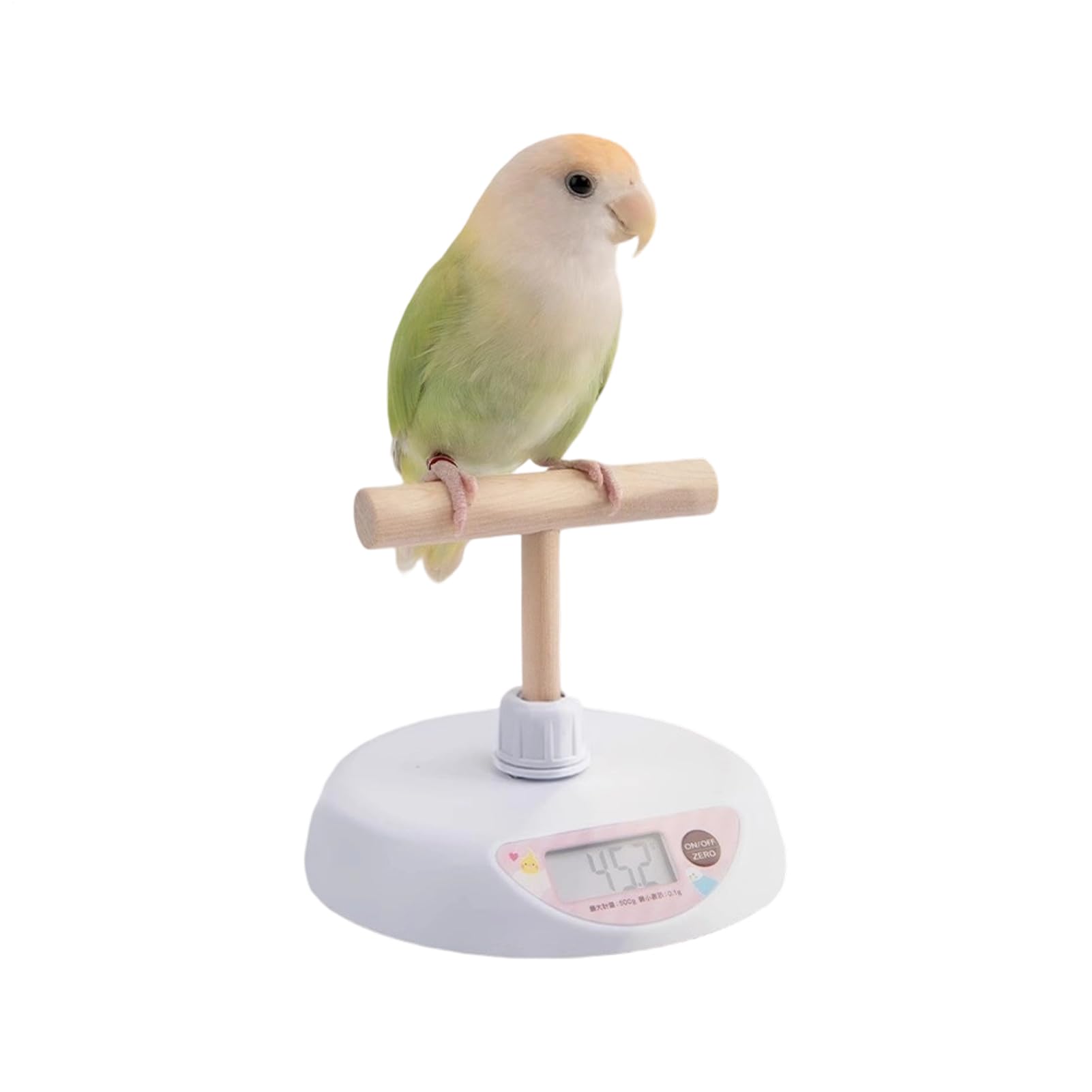 Balance numérique pour oiseaux à haute précision 0,1g - Écran LCD pour calopsitte et canari
