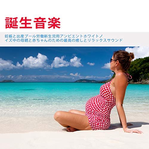 ホワイトノイズ研究