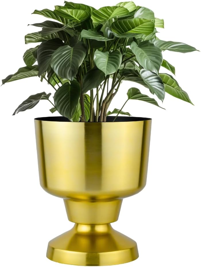 - Rust & Shine Bloom Space Iron Plant Pot โ Gold Finish | Durable Metal Planter for Home Decor | Indoor & Outdoor Flower Pots for Living Room Balcony & Office | Modern Aesthetic Decorative Planter Pot