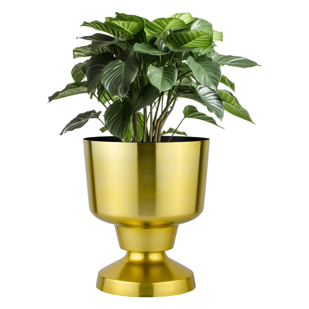 Rust & Shine Bloom Space Iron Plant Pot – Gold Finish | Durable Metal Planter for Home Decor | Indoor & Outdoor Flower Pots for Living Room Balcony & Office | Modern Aesthetic Decorative Planter Pot