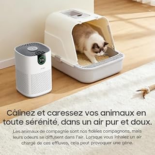 Purificateur d'Air Chambre - Air Purifier Hepa Efficace Contre Le Pollen, Les Allergies, Les Odeurs Et Les Poils D'Animaux, Avec éPonge ParfuméE, 7w Et 3 Vitesses,Silencieux Version améliorée