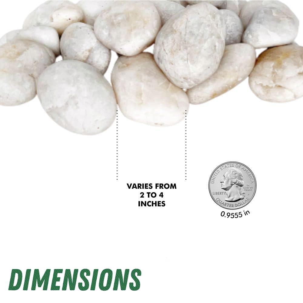 PGN White River Rocks para plantas, 5 libras, rocas blancas con superficies lisas y pulidas, piedras de 1 a 3 pulgadas para macetas, decoraciones de acuario, jarrón, chimenea, paisajismo, decoración