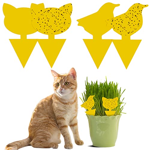 Fullsexy Fullsexy 60 Stück Plug-in-Fliegenfalle, klebrige Fallen,...