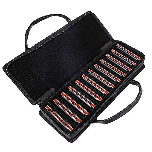 Easttop Harmonica diatonique Blues 10 trous 20 tons 008 K avec étui, plus professionnel pour débutants étudiants adultes… - Les Beatles, Paul McCartney, John Lennon, RIngo Starr, George Harrison Easttop Harmonica diatonique Blues 10 trous 20 tons 008 K avec étui, plus professionnel pour débutants étudiants adultes… – Image 3
