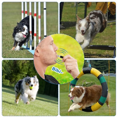LXUEJIE 3 Stück Hundepfeife Rütter Rückruf, Hundepfeife Hochfrequenz Lautlos with Lanyard Erziehungshilfen für Hunde Pfeifen Hundetraining Hundepfeifen Vielseitig Erziehungshilfen für Trainieren Hund