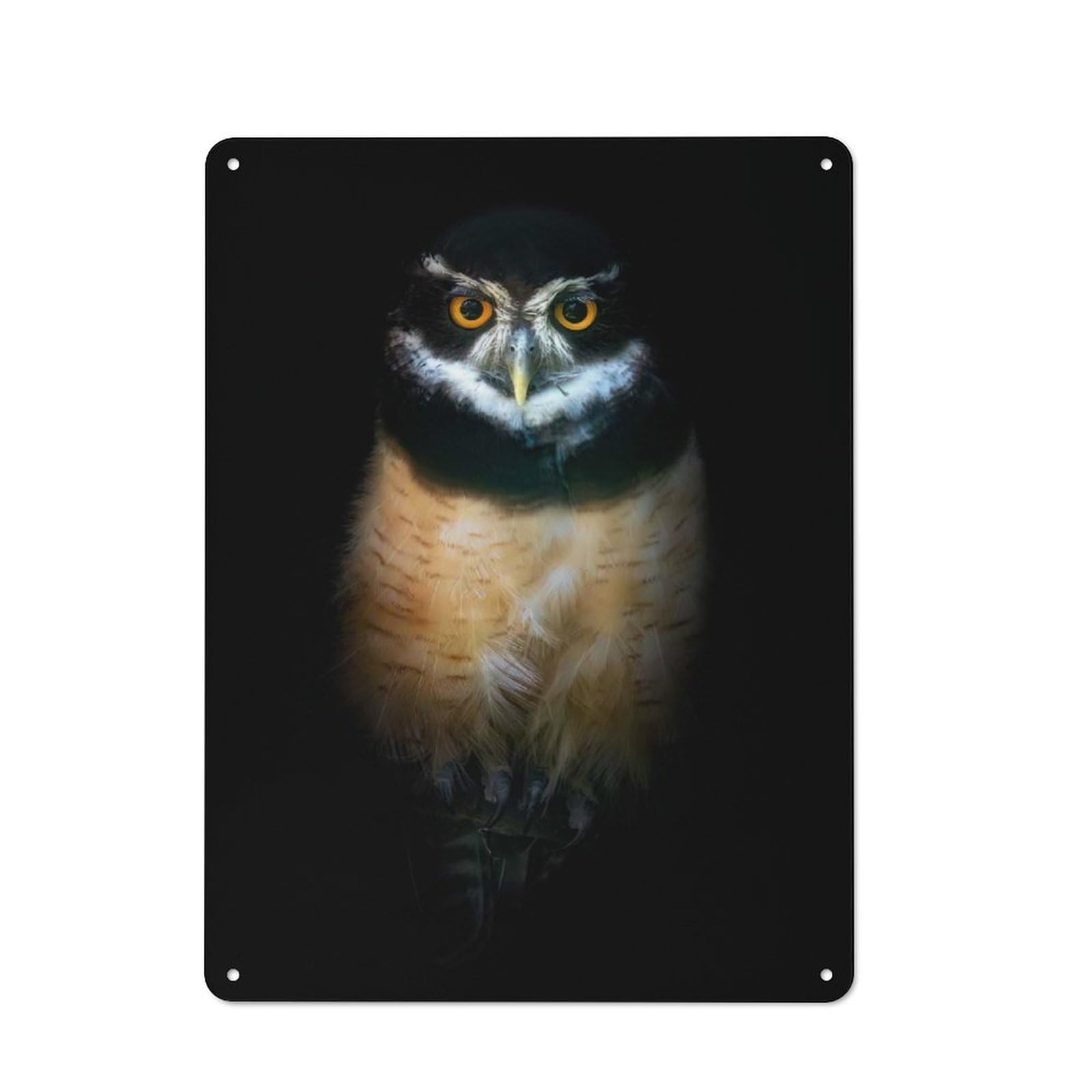 Spectacled Owl Portrait on Black Background Rustic Metal Sign 40x30cm, Country Vintage Country Wall Plaque for Cottage, Kitchen, Hallway Or Breakfast Nook