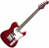 ARIA アコースティックギター ADW-200BS RITTER ソフトケース ARIA アコースティックギター ADW-200BS RITTER ソフトケース