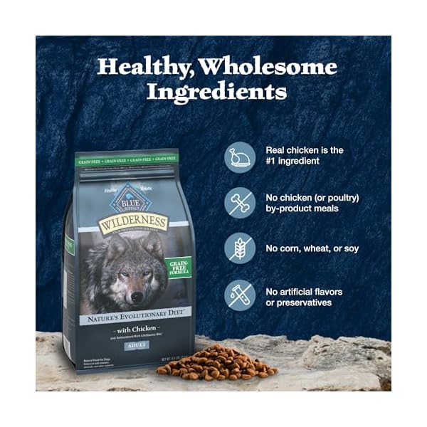 Blue Buffalo Wilderness Adult Hochprotein-Trockenfutter für Hunde mit echtem Huhn, getreidefrei, natürlichen Inhaltsstoffen, Huhn, 10,9 kg Beutel – Bild 7