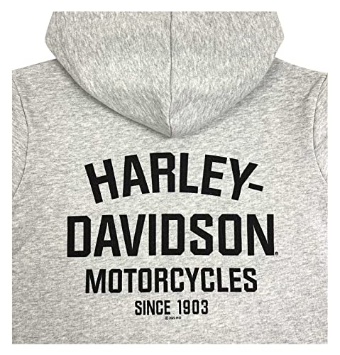 Harley-Davidson Little Boys' B&S Toddler Fleece Terry Pullover Hoodie - Gray2