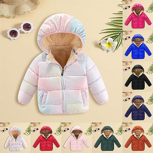 2024 Winter Fleece Jacket Coat Autumn/Winter Preschool Girls/Boys Long Sleeve Hooded Removable Fleece Filled Jacket2