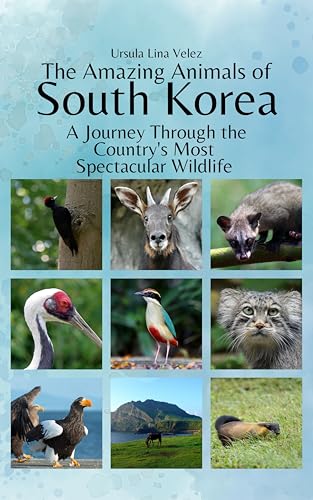 The Amazing Animals of South Korea: A Journey Through the Region's Most Spectacular Wildlife