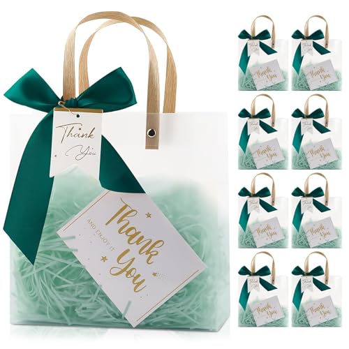 Paquete de 12 bolsas de regalo de plástico transparente con asas, bolsas de regalo de fiesta de 20 x 20 x 8 cm con cintas verdes bosque y etiquetas de agradecimiento, bolsas esmeriladas reutilizables