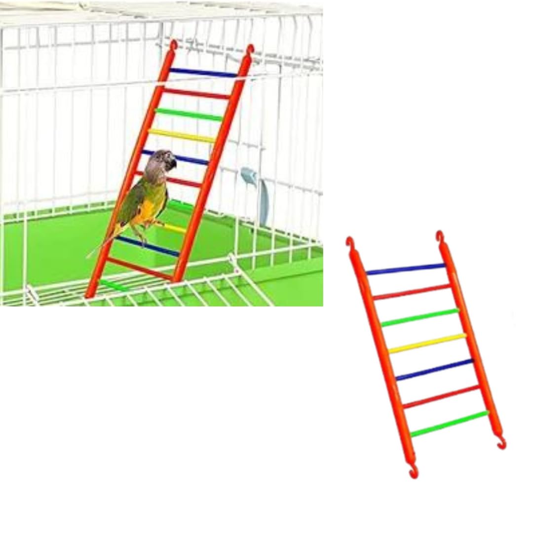 Premier Plants Plastic Toy Ladder perches Birds Cage Accessories for Small and Medium Parrots for Lovebirds, Cockatiels, Sun Conures Caique Finches(7 Steps Multicolor) Pack of 2 Small 1