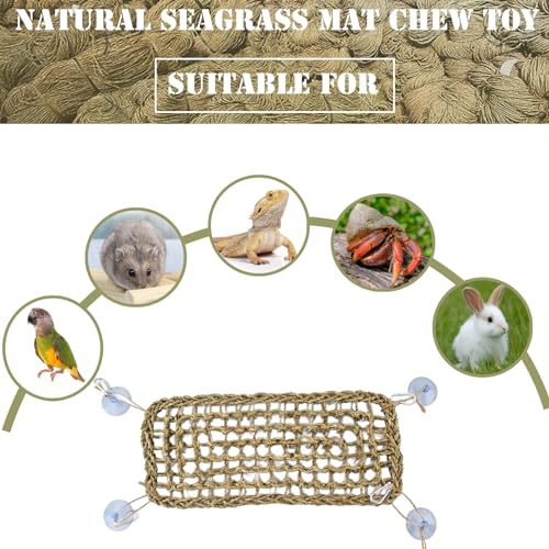 Image of Bird Seagrass Mat Bearded Dragon Hammock Reptile Bridge Hermit Crab Climbing Wall Lizard Lounger Natural Seagrass Woven Net Rat Cage Accessories Hamster Ladder 15.7 inchx 6.7 inch