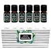 Produktbild ätherische Öle Set WellTree, 100% naturrein, Aromatherapie, Massage, Sauna-Aufguss, Duftöl für Diffuser